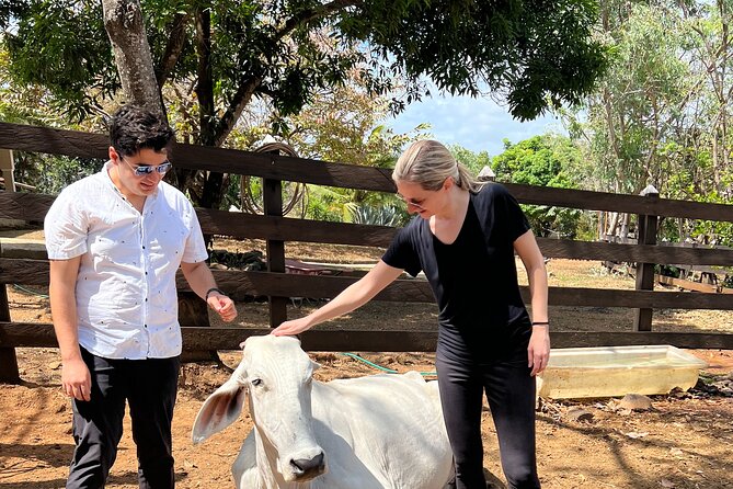 Eco Agro Adventure With Horseback Riding in a Private Ranch - Transportation and Pickup Details