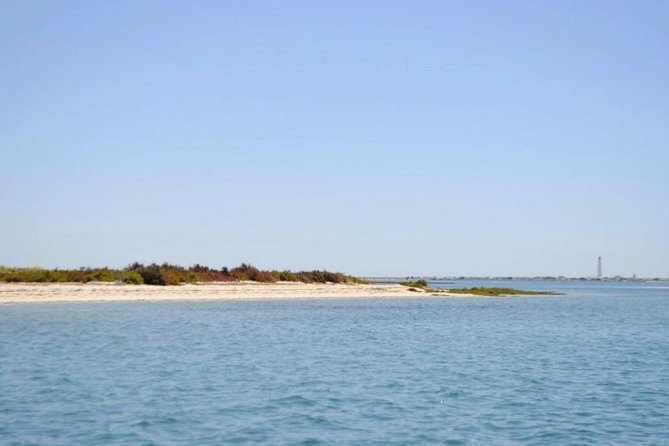 Eco Boat Tour in the Ria Formosa Lagoon From Faro - Peaceful Solar-Powered Cruise