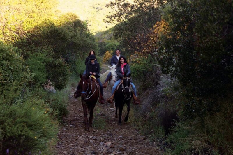 Eco Canyon Horseback Riding Excursion - Highlights of the Experience