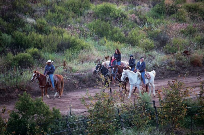 Eco Canyon Horseback Riding Excursion - Inclusions and Amenities