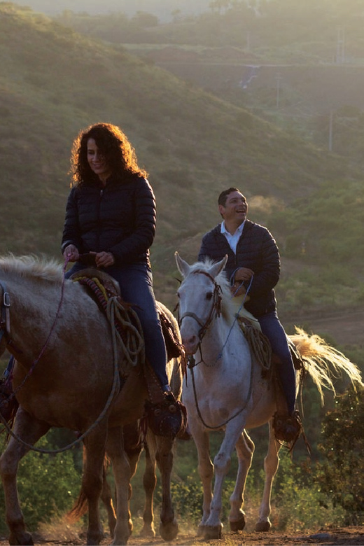 Eco Canyon Horseback Riding Excursion - Meeting Point and Directions