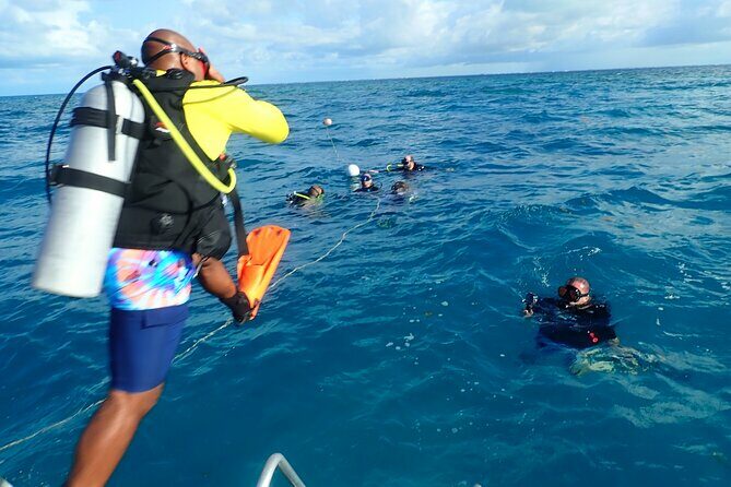 Eco Conscious Reef Diving with Southpoint Divers - FAQs