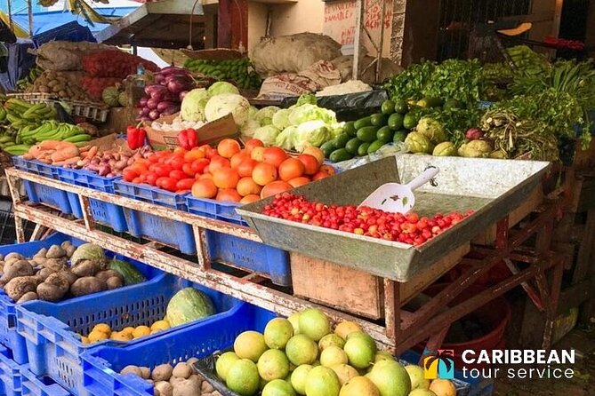 Eco Farm, Horseback Riding, City Tour , Buggy, and Zipline - Outdoor Adventures