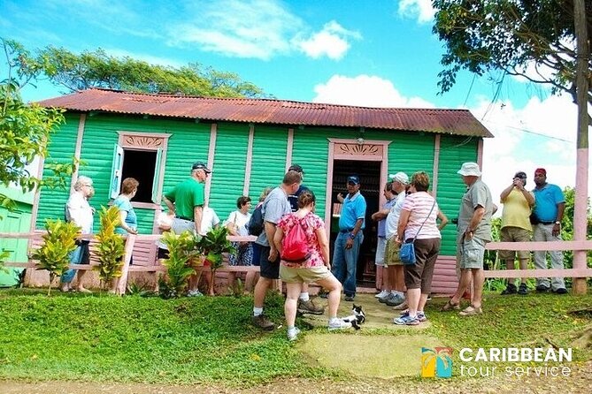 Eco Farm, Horseback Riding, City Tour , Buggy, and Zipline - Gourmet Dining