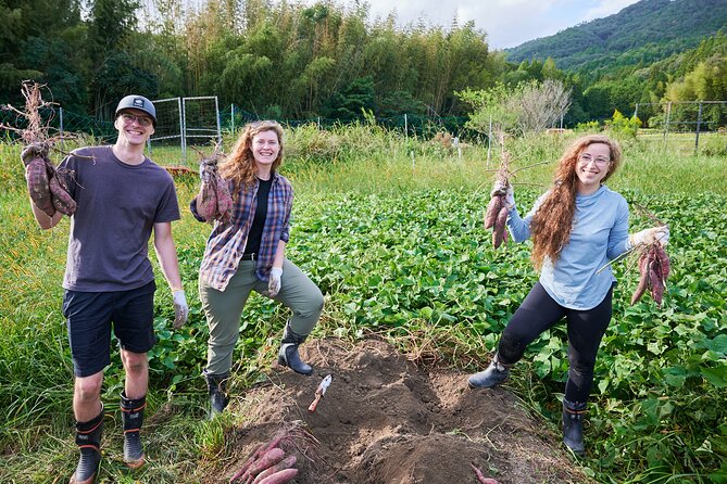 Eco Focused Cycling and Crafts Tour in Kameoka 1 Day - Cycling Experience