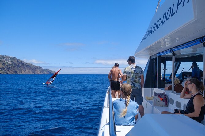 Eco-Friendly Catamaran Dolphin and Whale Watching - Inclusions and Logistics