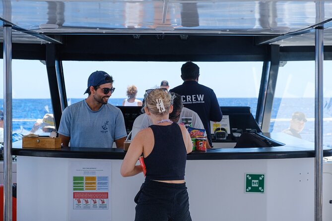 Eco-Friendly Catamaran Dolphin and Whale Watching - Departure and Meeting Point