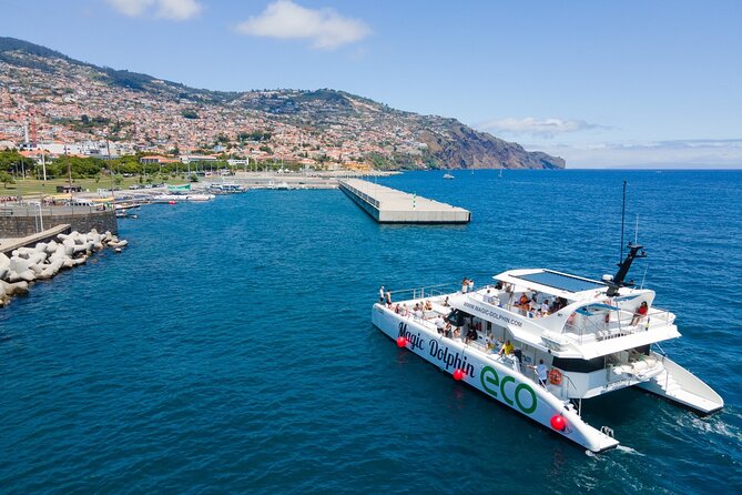 Eco-Friendly Catamaran Dolphin and Whale Watching - Cancellation and Refund Policy