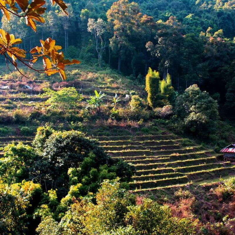 Eco-Friendly: Doi Inthanon & Pha Dok Siew Trekking Day Trip - Key Points