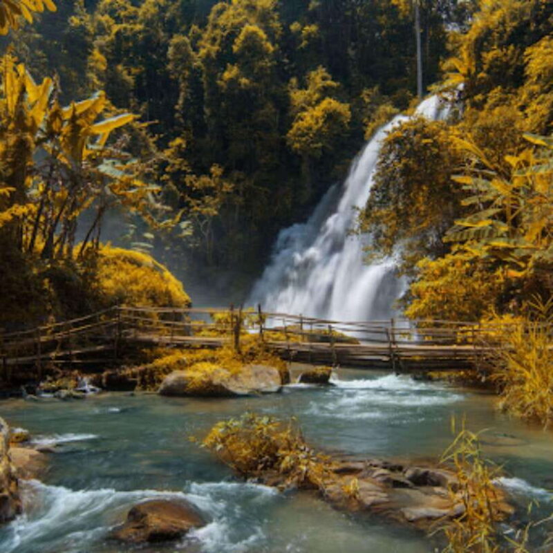 Eco-Friendly: Doi Inthanon & Pha Dok Siew Trekking Day Trip - Itinerary Highlights