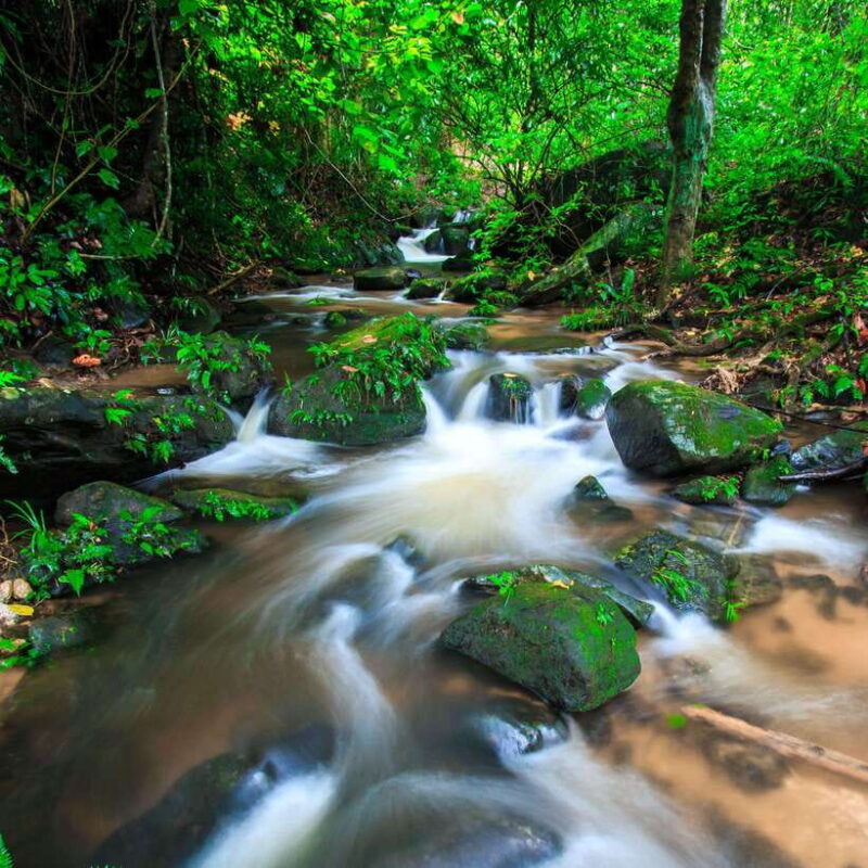 Eco-Friendly: Doi Inthanon & Pha Dok Siew Trekking Day Trip - Included Services