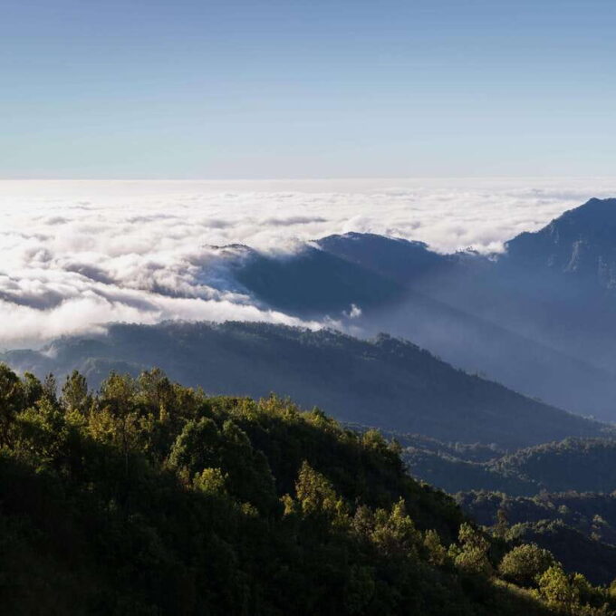 Eco-Friendly: Doi Inthanon & Pha Dok Siew Trekking Day Trip - Exploring Doi Inthanon National Park