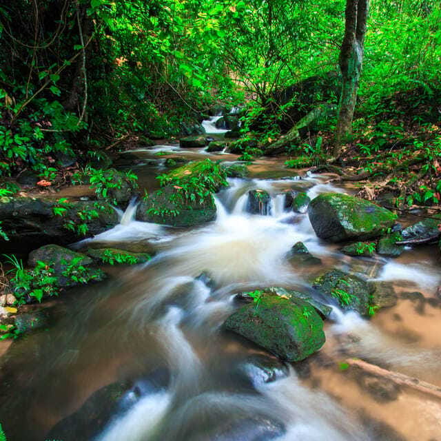 Eco-Friendly: Doi Inthanon & Pha Dok Siew Trekking Day Trip - Trekking the Pha Dok Siew Nature Trail