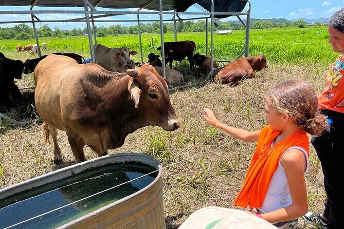 Eco Friendly Farming Tour to Explore Dorado's Most Beautiful Farm - Key Points