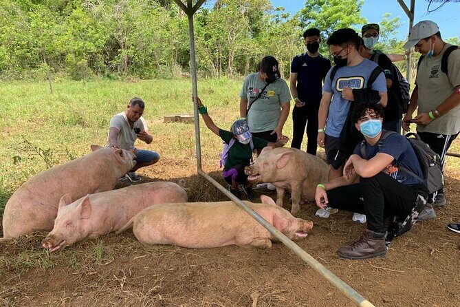 Eco Friendly Farming Tour to Explore Dorado's Most Beautiful Farm - FAQs