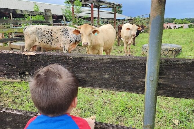 Eco Friendly Farming Tour to Explore Dorados Most Beautiful Farm - Farm Store and Culinary Offerings