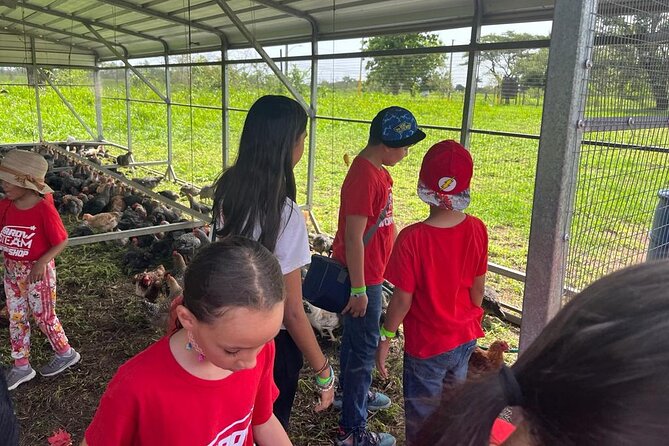 Eco Friendly Farming Tour to Explore Dorados Most Beautiful Farm - Traveler Reviews and Feedback