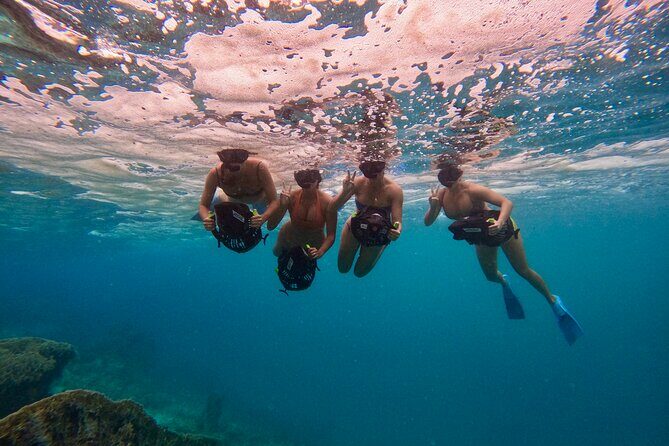 Eco Friendly Sea Scooter Turtle Tour in Rarotonga - What Makes the Rarotonga Sea Scooter Turtle Tour Special?