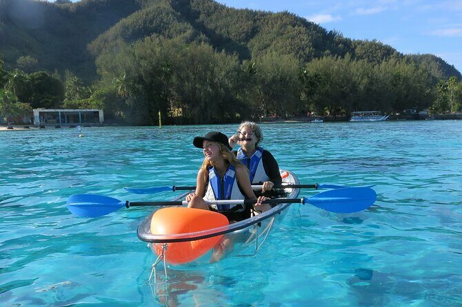 Eco guided excursion to the lagoon of Moorea in a transparent kayak Afternoon 2h - Analyzing the Value