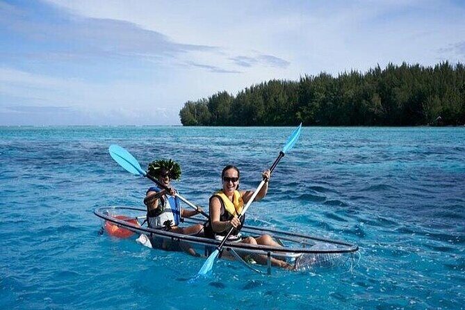 Eco guided excursion to the lagoon of Moorea in transparent kayak 1/2 day morning - The Marine Wildlife Encounters