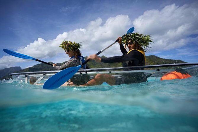 Eco guided excursion to the lagoon of Moorea in transparent kayak 1/2 day morning - Who Will Love This Tour?