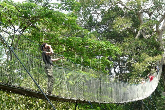 Eco Jungle - 3 Days / 2 Nights - Traveler Insights