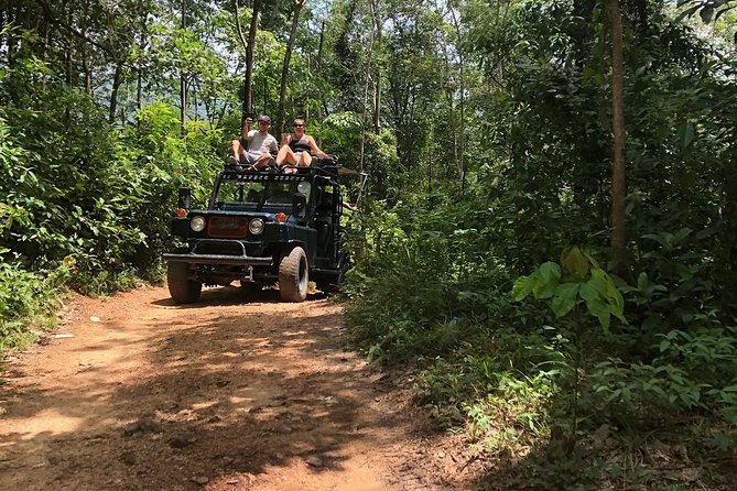 Eco Jungle Safari Tour Around Koh Samui Including Lunch - Delectable Thai-Style Lunch Experience