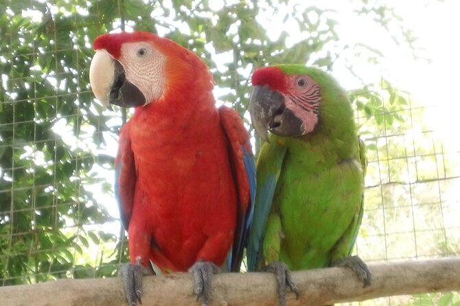 Eco Park and Beach Tour in Roatan - Eco Park and Cultural Exploration