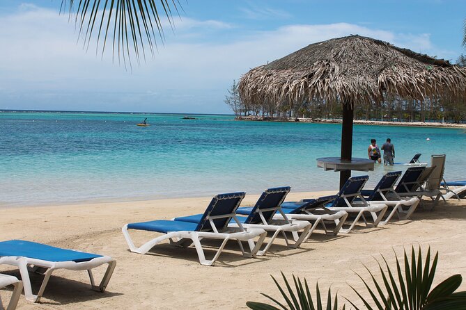 Eco Park and Beach Tour in Roatan - Guest Experiences and Testimonials