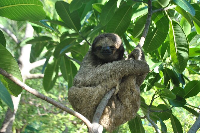 Eco Park and Beach Tour in Roatan - Preparing for the Adventure