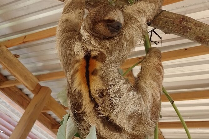 Eco Park and Beach Tour in Roatan - Getting the Most From Your Visit