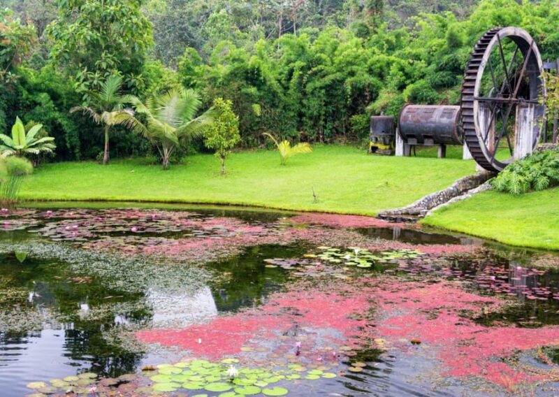 Eco-Park Recinto Del Pensamiento Tour - Guided Tour Experiences