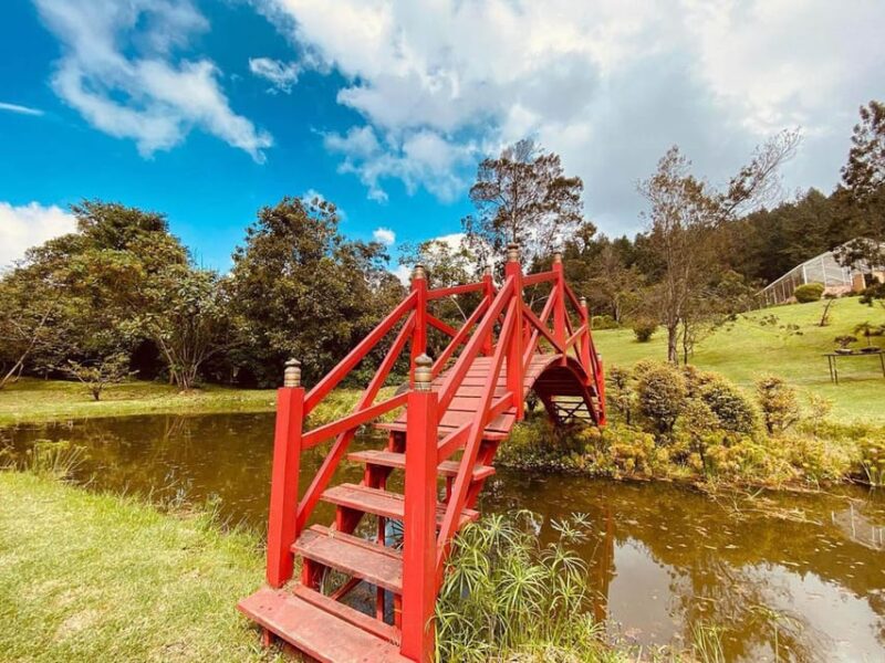 Eco-Park Recinto Del Pensamiento Tour - Contemplation and Peace