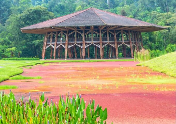 Eco-Park Recinto Del Pensamiento Tour - Frequently Asked Questions