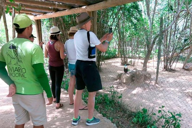 Eco Plan National Aviary and Lunch in Playa Mambo Beach Barú - Logistics and Pickup