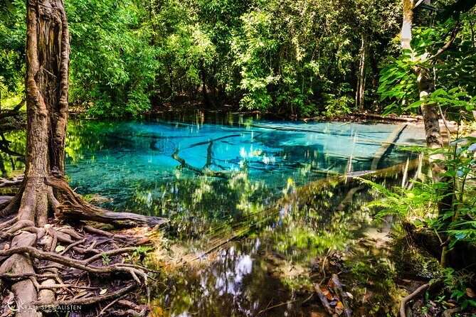 ECO Premium Jungle Hot Springs and Temple Tour - Who Will Love This Tour?