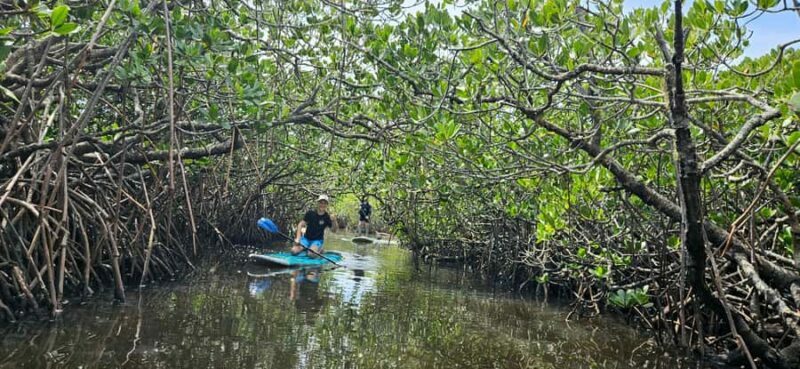 Eco River Adventure - The Sum Up