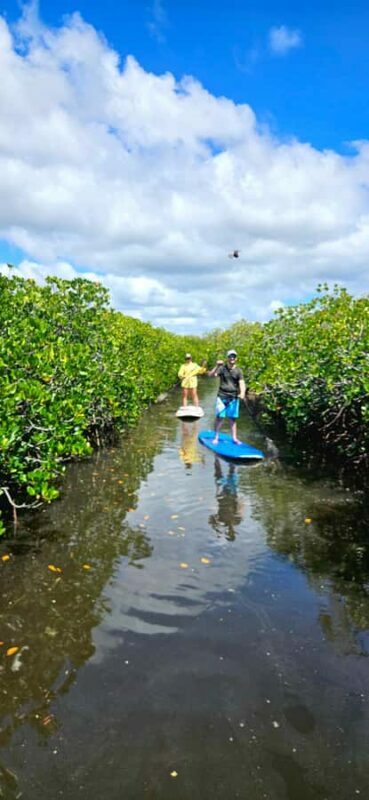 Eco River Adventure - FAQ