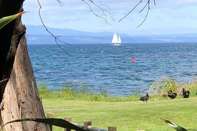 Eco Sailing Tour to Maori Rock Carvings on Lake Taupo - Who Will Love This Tour?