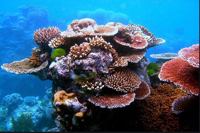 Eco Sea Scooter Guided Beach Tour From The Famous Kapalua Bay - Exploring Mauis Underwater Wonders