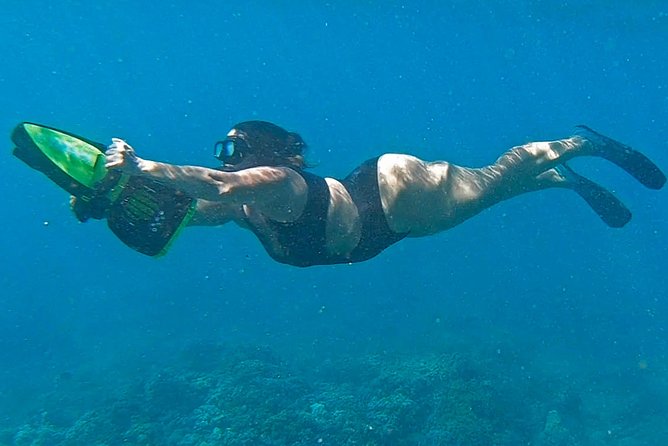 Eco Sea Scooter Guided Beach Tour From The Famous Kapalua Bay - Additional Information to Note