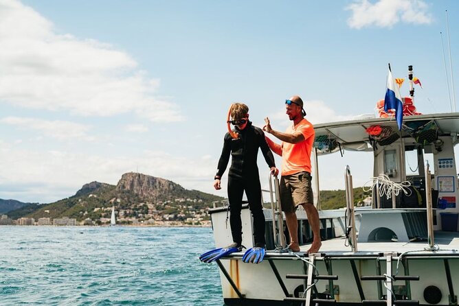 Eco-snorkeling in the Medes Islands - Medes Islands: An Ecological Oasis