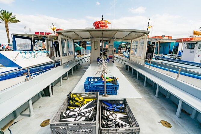 Eco-snorkeling in the Medes Islands - Preparing for Your Snorkeling Adventure