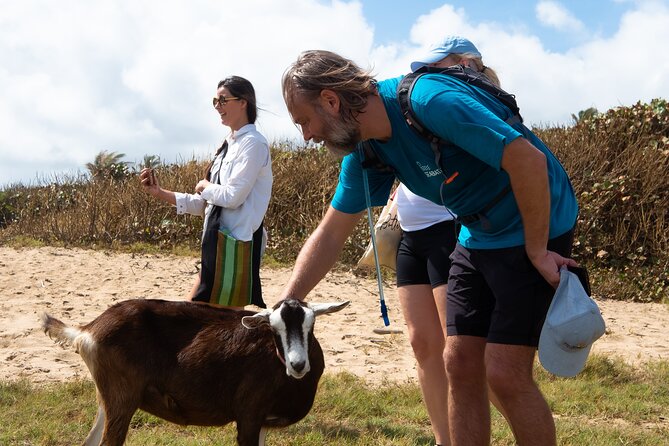 ECO Tour East Coast Barbados - Health and Safety Guidelines