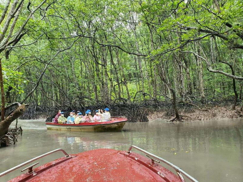 ECO TOUR FROM HO CHI MINH: CAN GIO MANGROVE FOREST - Itinerary Details