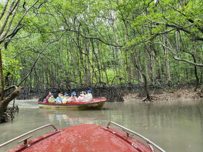 ECO TOUR FROM HO CHI MINH: CAN GIO MANGROVE FOREST - Tour Experience