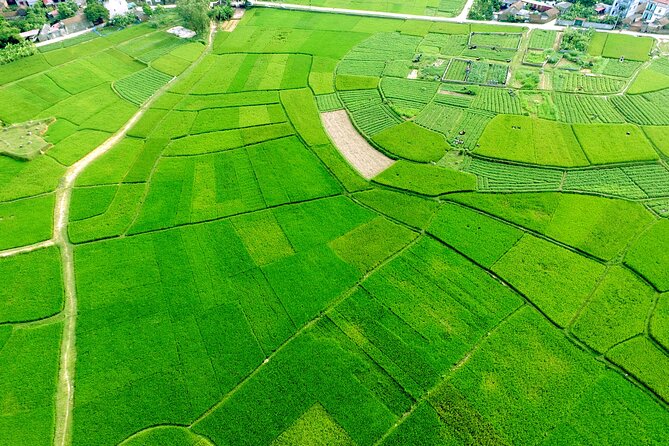ECO TOUR in Bac Giang - 1 Day Experience as a Farmer - Inclusions