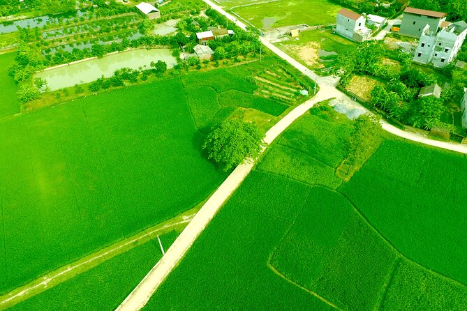 ECO TOUR in Bac Giang - 1 Day Experience as a Farmer - Review Highlights