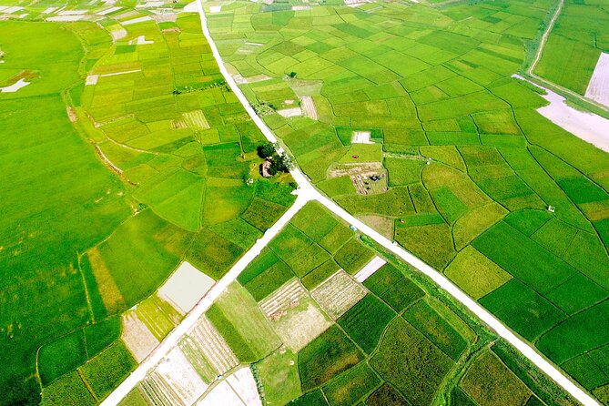 ECO TOUR in Bac Giang - 1 Day Experience as a Farmer - Additional Details