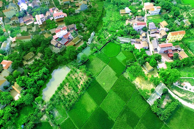 ECO TOUR in Bac Giang - 1 Day Experience as a Farmer - Pickup Information